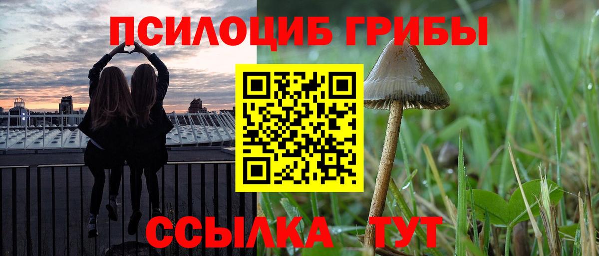 дарнет шоп  Вход с VPN  Магадан  Галлюциногенные грибы ЛСД 